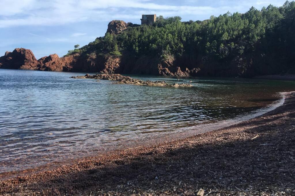 "Les Alizes" Cote Piscine Proche Bord De Mer Saint-Raphaël Exterior foto